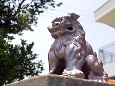 沖縄の魅力を活かしたビジネスができる！